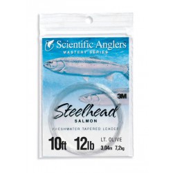 Steelhead (para salmón)