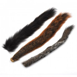 Cola de ardilla gris Veniard