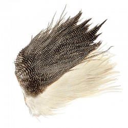 Saddle genético Veniard...