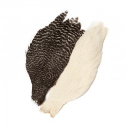 Cuello genético de gallina...