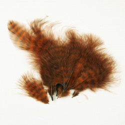 Grizzly marabou