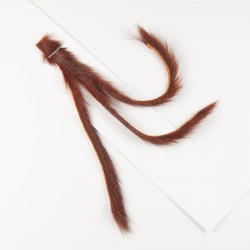 Tiras de ardilla de 2,5mm