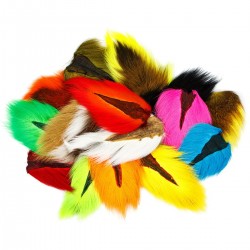 Cola de gamo hembra...