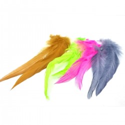 Plumas Schlappen Veniard